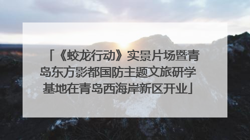 《蛟龙行动》实景片场暨青岛东方影都国防主题文旅研学基地在青岛西海岸新区开业