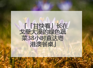 「甘快看」长在戈壁大漠的绿色蔬菜38小时直达粤港澳餐桌