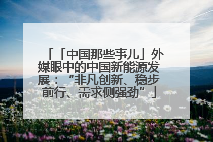 「中国那些事儿」外媒眼中的中国新能源发展：“非凡创新、稳步前行、需求侧强劲”
