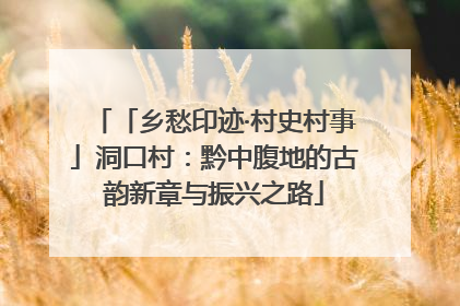 「乡愁印迹·村史村事」洞口村：黔中腹地的古韵新章与振兴之路