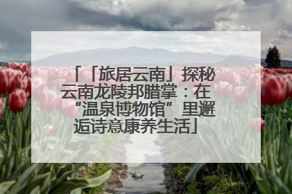 「旅居云南」探秘云南龙陵邦腊掌：在“温泉博物馆”里邂逅诗意康养生活