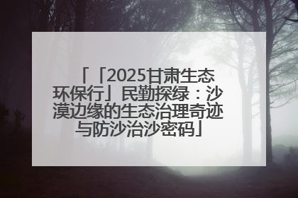 「2025甘肃生态环保行」民勤探绿：沙漠边缘的生态治理奇迹与防沙治沙密码