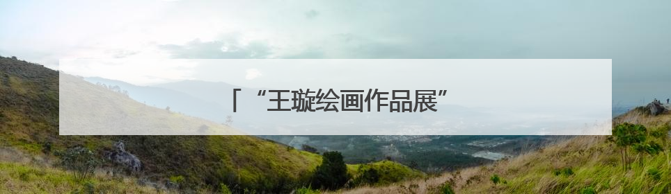 “王璇绘画作品展”在信阳师范大学开幕