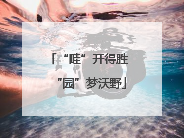“畦”开得胜 “园”梦沃野