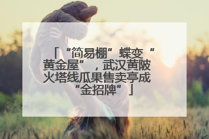 “简易棚”蝶变“黄金屋”，武汉黄陂火塔线瓜果售卖亭成“金招牌”