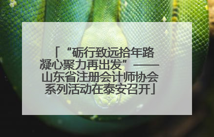 “砺行致远拾年路 凝心聚力再出发”——山东省注册会计师协会系列活动在泰安召开