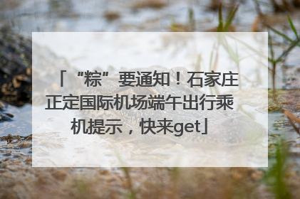“粽”要通知！石家庄正定国际机场端午出行乘机提示，快来get