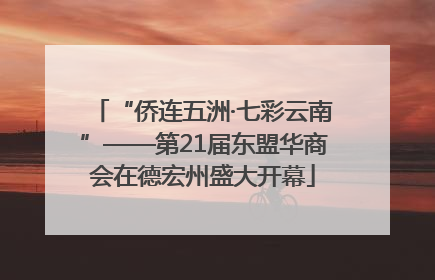 “侨连五洲·七彩云南”——第21届东盟华商会在德宏州盛大开幕
