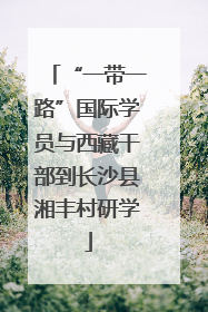 “一带一路”国际学员与西藏干部到长沙县湘丰村研学