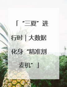 “三夏”进行时｜大数据化身“精准割麦机”