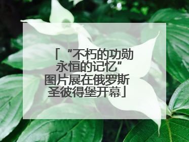 “不朽的功勋 永恒的记忆”图片展在俄罗斯圣彼得堡开幕