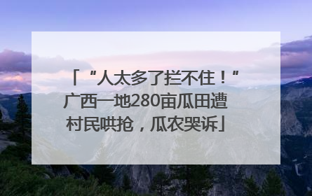 “人太多了拦不住！”广西一地280亩瓜田遭村民哄抢，瓜农哭诉