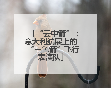 “云中箭”：意大利航展上的“三色箭”飞行表演队