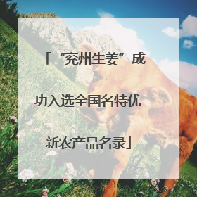 “兖州生姜”成功入选全国名特优新农产品名录
