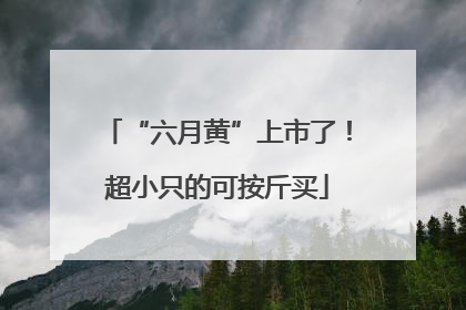 “六月黄”上市了！超小只的可按斤买