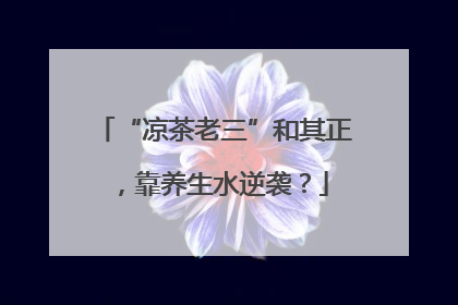 “凉茶老三”和其正，靠养生水逆袭？