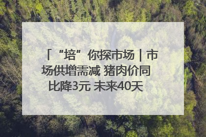 “培”你探市场｜市场供增需减 猪肉价同比降3元 未来40天便宜猪肉敞开吃