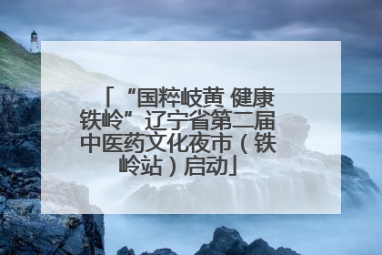 “国粹岐黄 健康铁岭”辽宁省第二届中医药文化夜市（铁岭站）启动