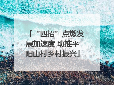 “四招”点燃发展加速度 助推平阳山村乡村振兴