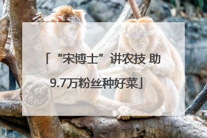 “宋博士”讲农技 助9.7万粉丝种好菜
