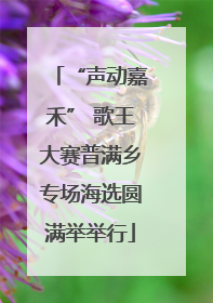 “声动嘉禾” 歌王大赛普满乡专场海选圆满举举行