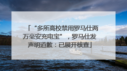 “多所高校禁用罗马仕两万毫安充电宝”，罗马仕发声明道歉：已展开核查