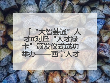 “大智荟通”人才π对暨“人才绿卡”颁发仪式成功举办——西宁人才周大通分会场亮点纷呈