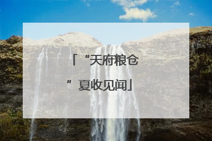 “天府粮仓”夏收见闻