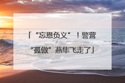 “忘恩负义”！警营“孤傲”燕隼飞走了