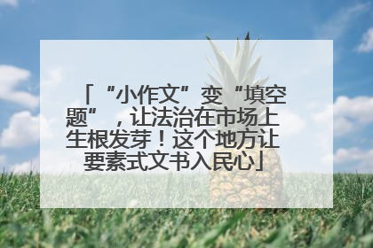 “小作文”变“填空题”，让法治在市场上生根发芽！这个地方让要素式文书入民心