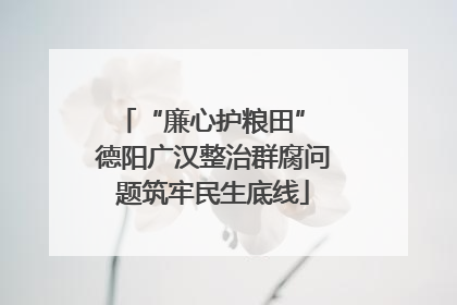“廉心护粮田” 德阳广汉整治群腐问题筑牢民生底线