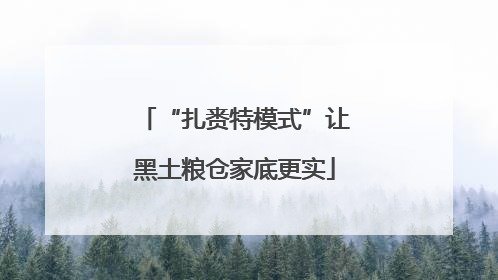 “扎赉特模式”让黑土粮仓家底更实