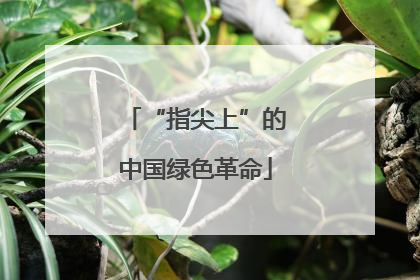 “指尖上”的中国绿色革命