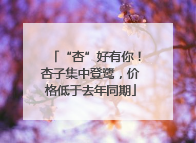 “杏”好有你！杏子集中登鹭，价格低于去年同期