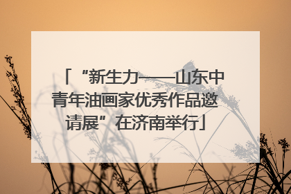 “新生力——山东中青年油画家优秀作品邀请展”在济南举行