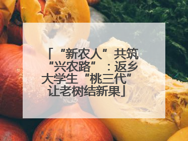 “新农人”共筑“兴农路”：返乡大学生“桃三代”让老树结新果