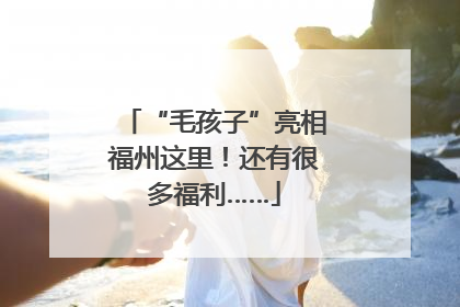 “毛孩子”亮相福州这里！还有很多福利……