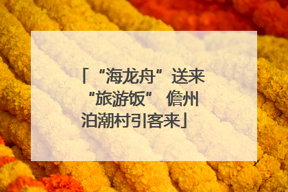 “海龙舟”送来“旅游饭” 儋州泊潮村引客来