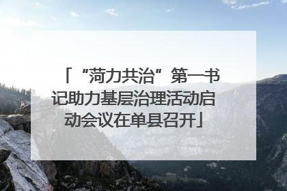 “菏力共治”第一书记助力基层治理活动启动会议在单县召开