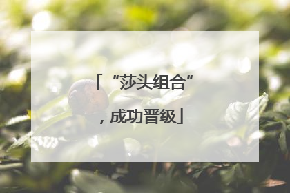 “莎头组合”，成功晋级