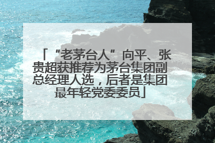 “老茅台人”向平、张贵超获推荐为茅台集团副总经理人选，后者是集团最年轻党委委员