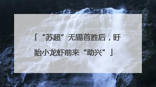 “苏超”无锡首胜后，盱眙小龙虾前来“助兴”