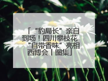 “豹局长”亲自到场！四川攀枝花“自带香味”亮相西博会丨图集