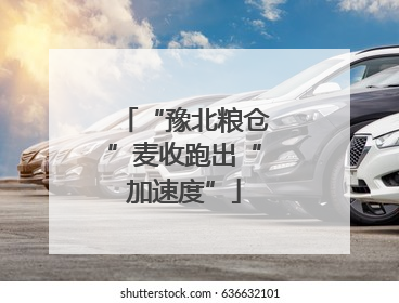 “豫北粮仓”麦收跑出“加速度”