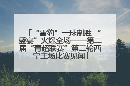 “雪豹”一球制胜 “盛宴”火爆全场——第二届“青超联赛”第二轮西宁主场比赛见闻