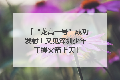 “龙高一号”成功发射！又见深圳少年手搓火箭上天