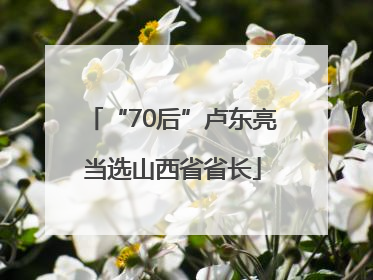 “70后”卢东亮当选山西省省长