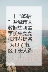 “85后”盐城市大数据集团董事长朱亮亮拟推荐提名为县（市、区）长人选