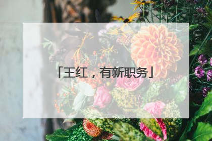 王红，有新职务