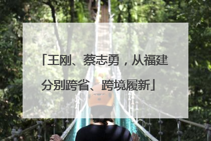 王刚、蔡志勇，从福建分别跨省、跨境履新